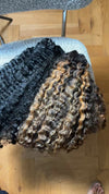 Bundle Deal - Burmese Curly